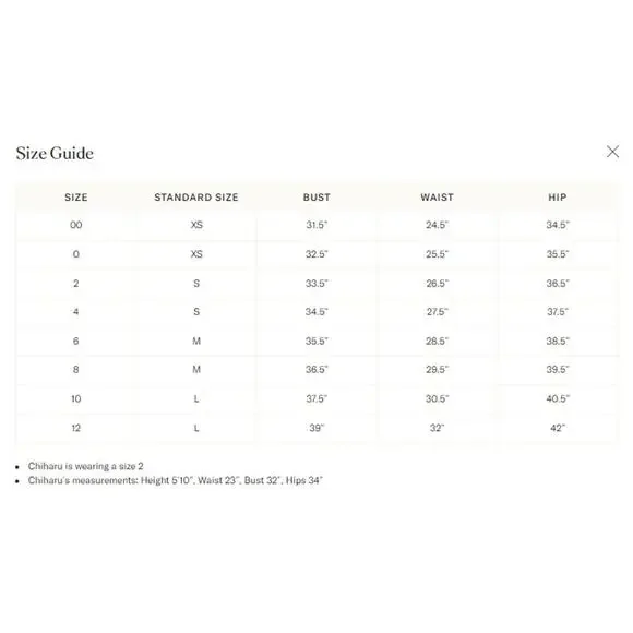 ULLA JOHNSON Azalea Mural Dress Size 2 NWT Retail $750 Tuckernuck - Picture 3 of 7